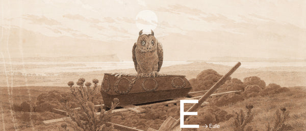 E – EULE