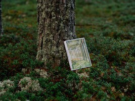 Das Buch Making The Plus lehnt an einem mit Flechten bewachsenen Baumstamm. Es steht auf einem Waldboden, der mit grünen Pflanzen und hellem Moos bedeckt ist.