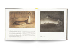 Ein aufgeschlagenes Kunstbuch zeigt zwei Seiten mit Illustrationen. Links säugt ein Fabelwesen mit langem Hals seine Jungen. Rechts schlängelt sich ein Wesen mit Menschenkopf und Schlangenkörper durch eine dunkle Landschaft. Unter den Bildern stehen Bildunterschriften und Erklärungen auf Deutsch.