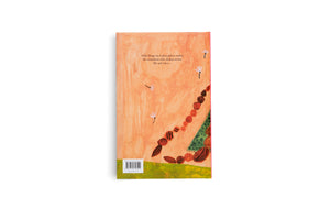 Rückseite eines illustrierten Buches mit orangefarbenem Umschlag. Oben steht ein kurzer Text, daneben schweben weiße Blüten. Rechts führt eine diagonale Linie aus bemalten Steinen über eine grüne Fläche nach oben. Unten links befindet sich ein Barcode mit der ISBN.