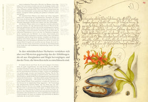 Eine Doppelseite aus einem Buch zeigt links gedruckten deutschen Text und rechts eine historische Illustration. Die Abbildung enthält Kalligrafie, eine Pflanze mit orangefarbenen, sternförmigen Blüten, eine geöffnete Muschel und einen gelben Käfer.