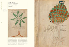 Eine aufgeschlagene Buchseite, die Illustrationen aus dem Voynich-Manuskript aus dem 15. Jahrhundert zeigt. Links ist eine Pflanze mit sternförmigen grünen Blättern. Rechts eine fantastische baumartige Pflanze mit einer schuppigen, grün-braunen Krone und einem komplexen Wurzelsystem. Beide Zeichnungen sind von der unentzifferbaren Schrift des Manuskripts umgeben.