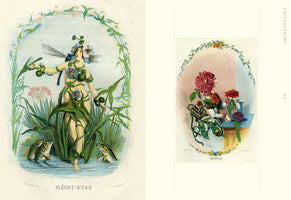Doppelseite aus einem Buch mit zwei fantastischen botanischen Illustrationen. Links eine als Pfeilkraut personifizierte Wassernymphe mit Libellenflügeln, die im Wasser zwischen Fischen steht. Rechts eine als Dahlie personifizierte Frau, die an einem Tisch sitzt und Blumen in einer Vase arrangiert.