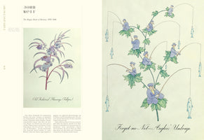 Doppelseite aus einem Buch mit fantastischen botanischen Illustrationen. Links eine Pflanze, deren Blüten altmodische Autos sind, beschriftet mit Old Fashioned Flivverago. Rechts eine Pflanze, auf deren Blättern Männer sitzen und Fische angeln, beschriftet mit Forgot-me-Net... Anglers' Umbrage.