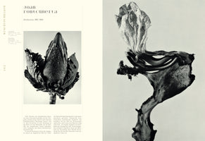Eine Buch-Doppelseite, die zwei Schwarz-Weiß-Fotografien aus der Serie Herbarium von Joan Fontcuberta zeigt. Die Bilder präsentieren surreale, hybride Pflanzenkreationen im Stil botanischer Studien. Links eine kohlartige Pflanze mit einem reptilienartigen Kopf, rechts eine Pflanze mit einer verwelkten Blüte und einem verdrehten, knochigen Stiel.