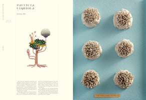 Eine Doppelseite aus einer Publikation: Links eine digitale Illustration einer surrealen Pflanzenskulptur von Patricia Urquiola neben deutschem Text. Rechts ein Foto von sechs weißen, korallenartigen Keramikobjekten, die an einer hellblauen Wand angebracht sind.