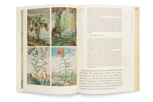 Eine aufgeschlagene Buchseite über Pflanzentaxonomie mit vier farbigen, historischen botanischen Illustrationen von Blumen und einem Farn auf der linken Seite und deutschem Text über die Geschichte der Botanik auf der rechten Seite.
