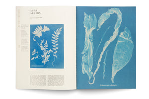 Ein aufgeschlagenes Buch, das zwei Cyanotypien von Anna Atkins zeigt. Auf der linken Seite befindet sich eine kleinere Abbildung eines Farns neben deutschem Text. Die rechte Seite zeigt eine ganzseitige, blaue Cyanotypie von Algen mit der handschriftlichen Bezeichnung Enteromorpha intestinalis.
