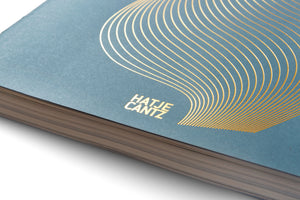 Nahaufnahme eines blaugrauen, matten Buchdeckels mit einem Muster aus geschwungenen, parallelen Linien in glänzender Goldfolie. Innerhalb des Musters steht in goldenen Großbuchstaben der Name HATJE CANTZ. Der Seitenrand des dicken Buchblocks ist sichtbar.