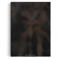 Die Rückseite einer Hülle oder eines Posters, die ein stark verschwommenes und abgedunkeltes Bild einer Figur zeigt. Am unteren Rand steht der weiße Text Based on an original concept by C.A.B.