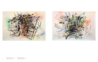 Julie Mehretu: A Transcore of the Radical Imaginatory