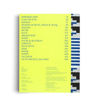 Inhaltsverzeichnis und Impressum eines Buches auf einer leuchtend gelb-grünen Seite. Die Kapitelüberschriften sind in Blau gedruckt. Am rechten Rand befindet sich ein dekoratives, blau-weißes Muster.