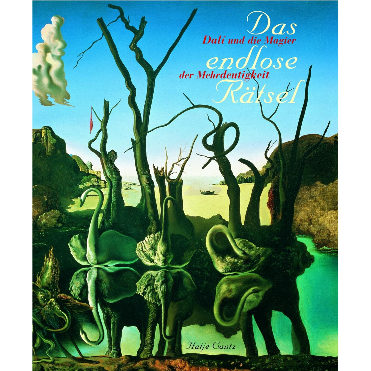 Coverbild Das endlose Rätsel