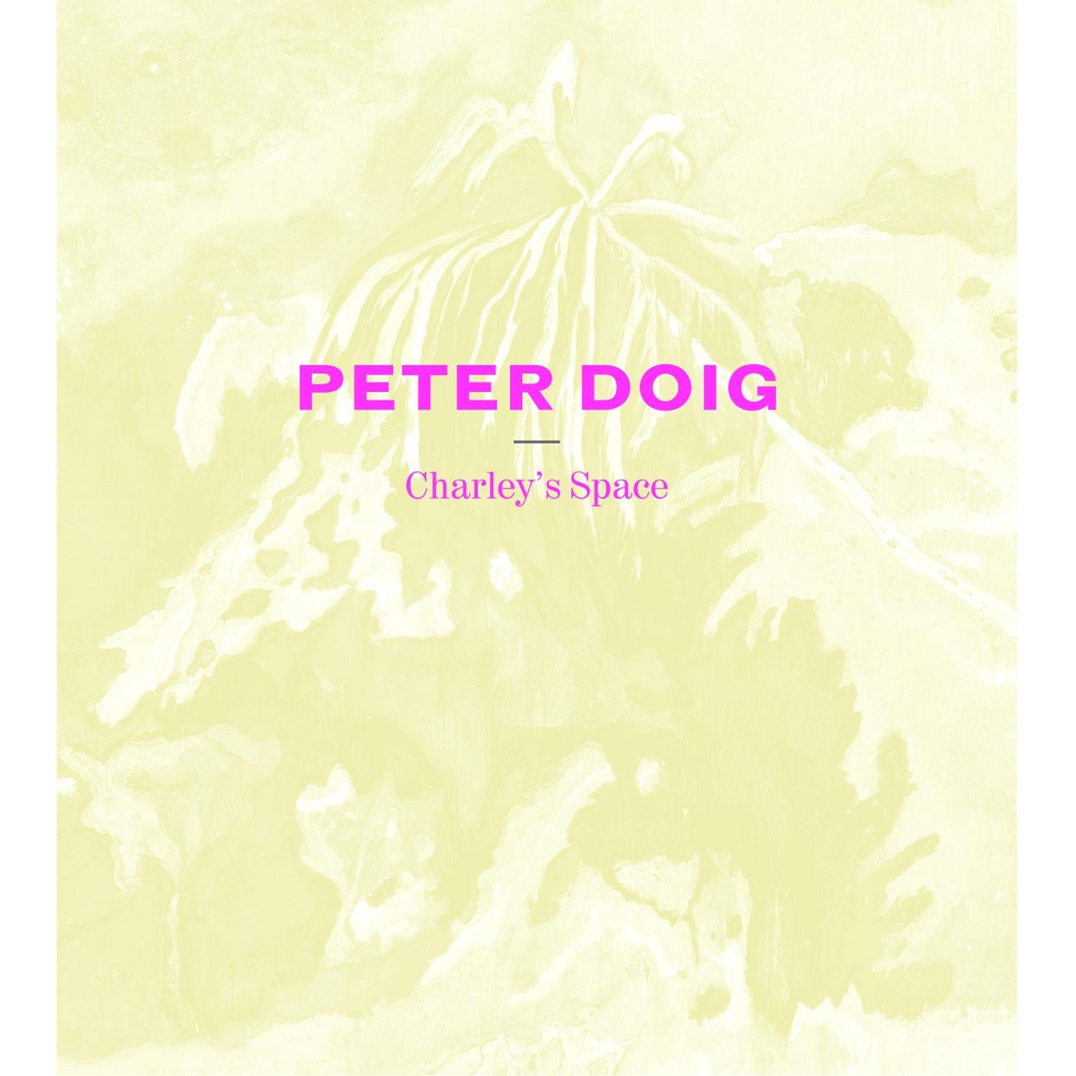 Coverbild Peter Doig