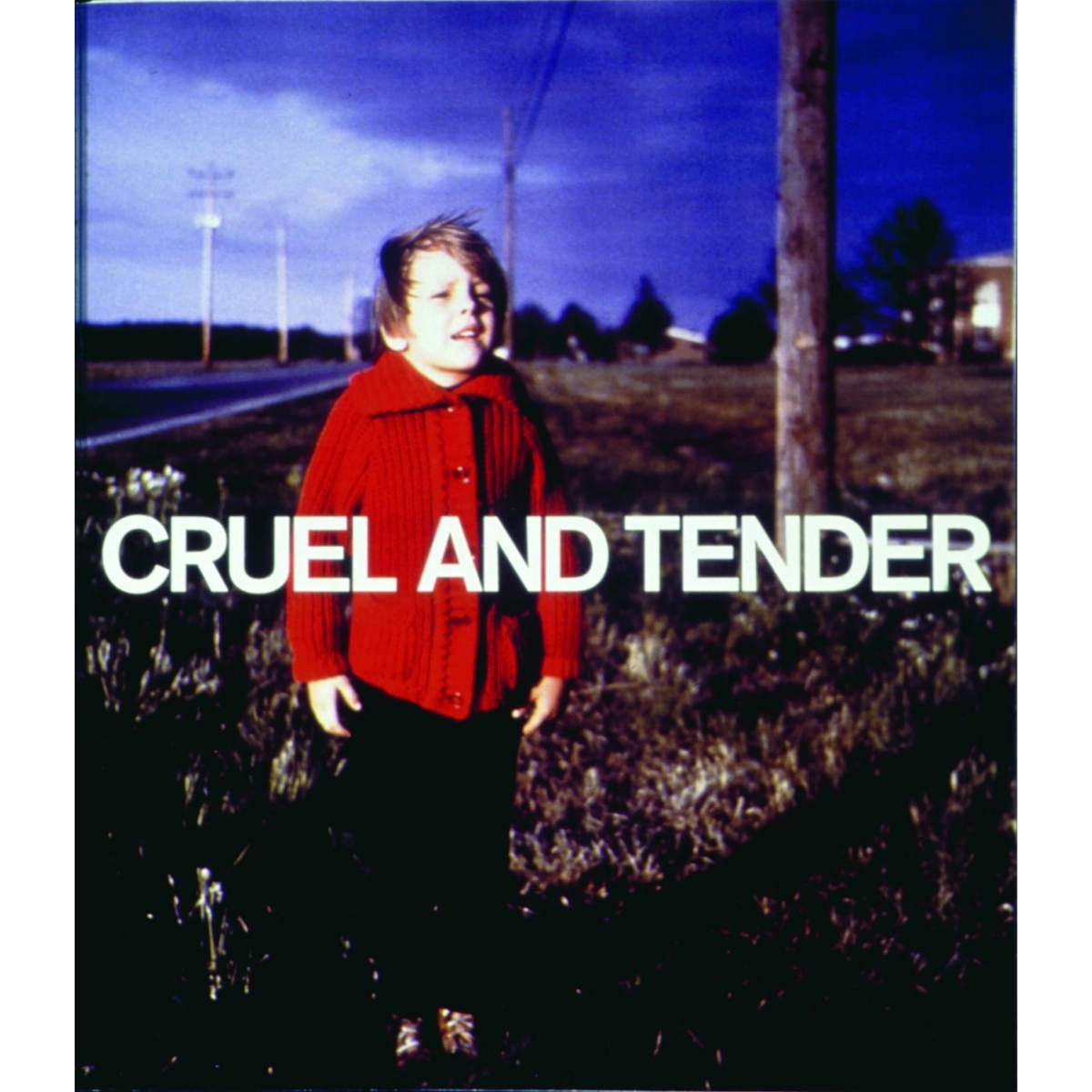 Coverbild Cruel and Tender