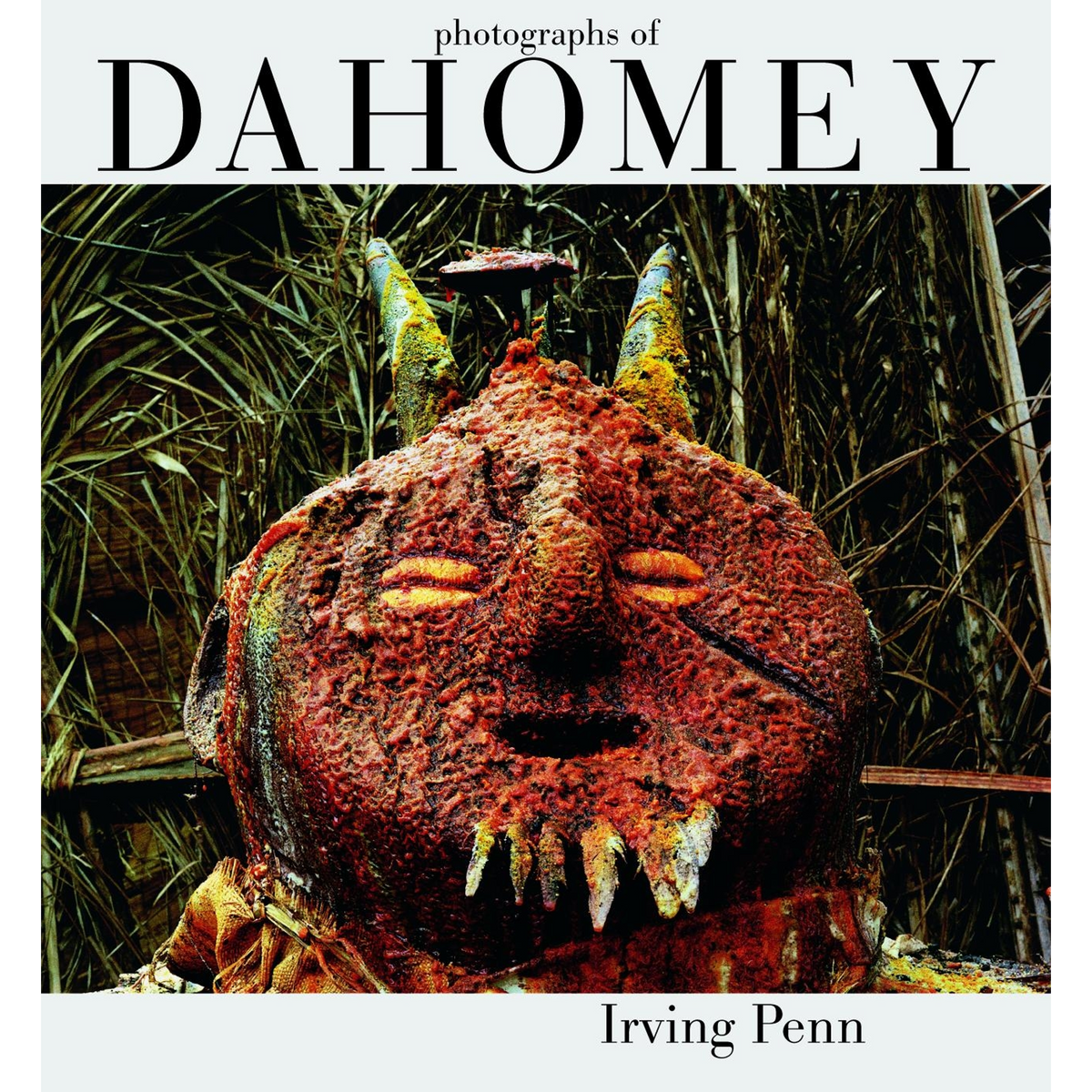 Coverbild Irving Penn