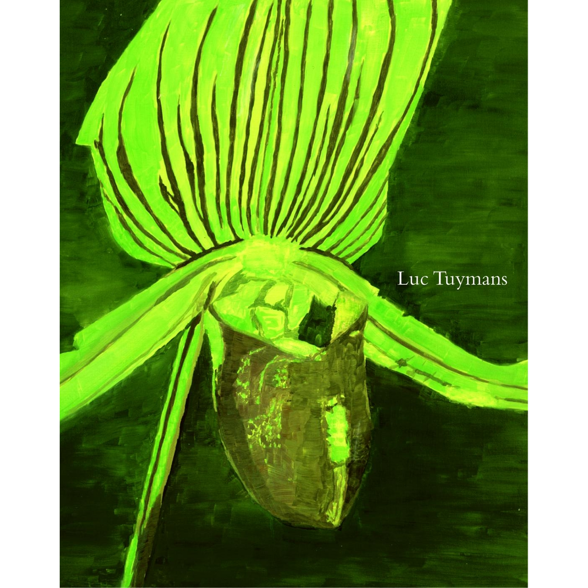 Coverbild Luc Tuymans
