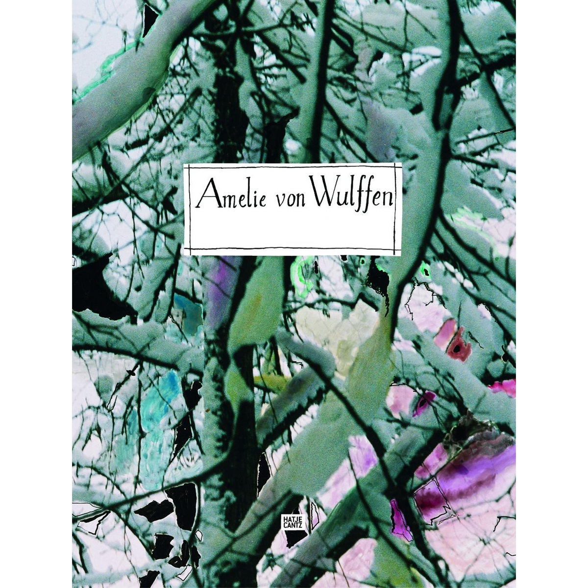 Coverbild Amelie von Wulffen