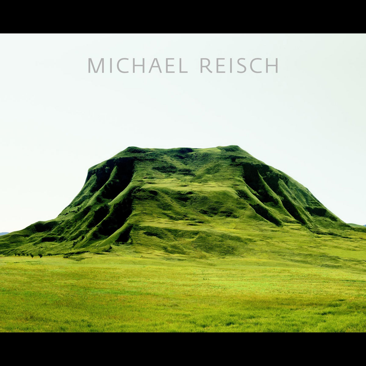 Coverbild Michael Reisch