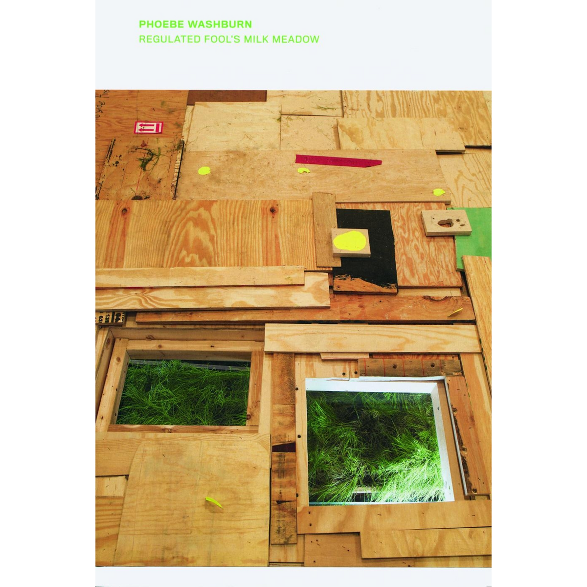 Coverbild Phoebe Washburn