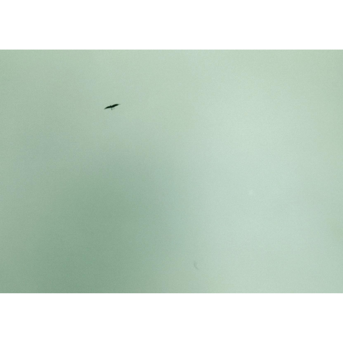 Coverbild Felix Gonzalez-Torres