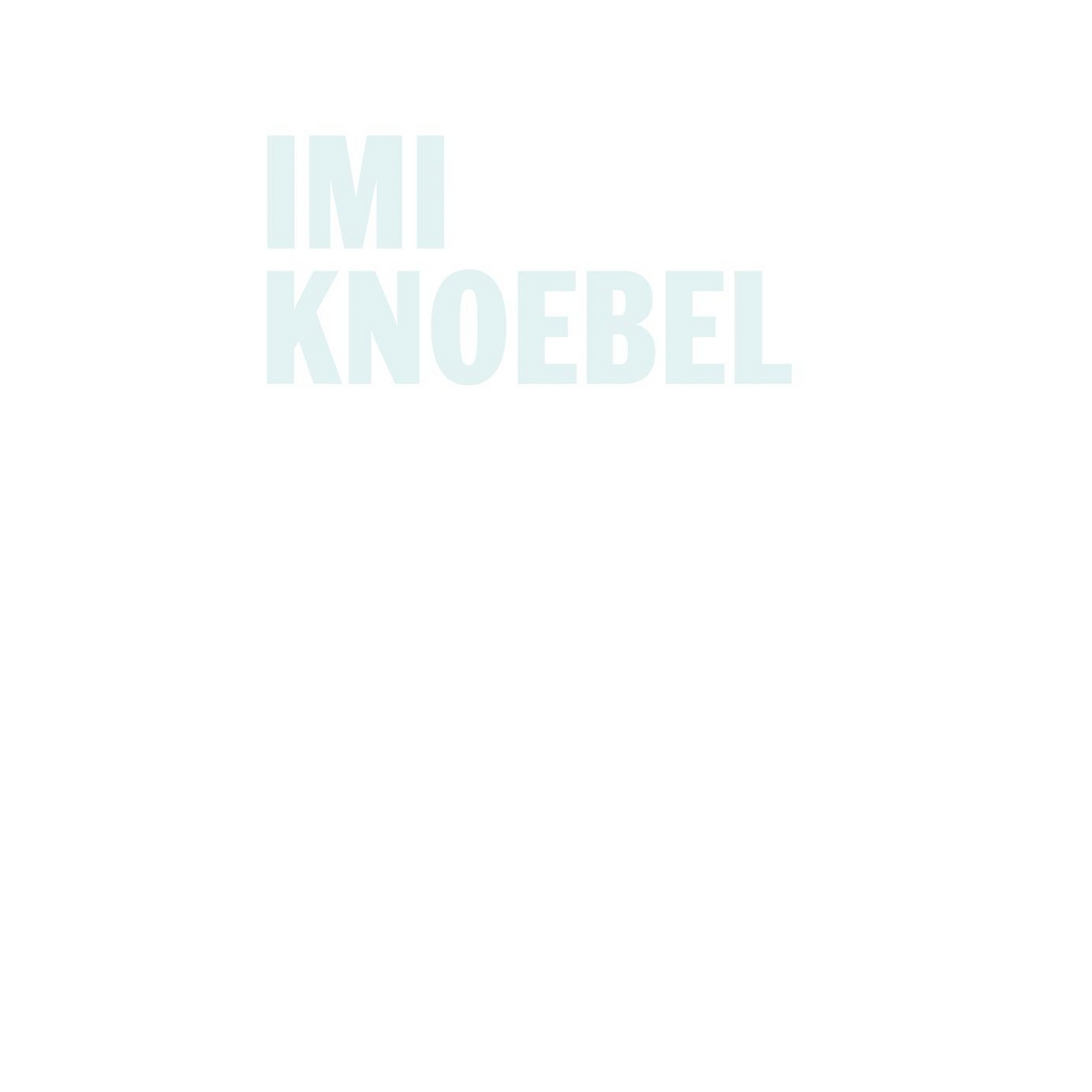 Coverbild Imi Knoebel