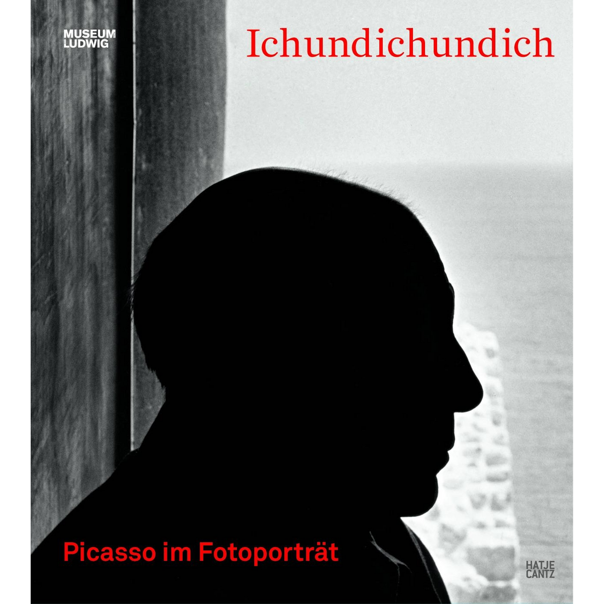 Coverbild IchundIchundIch