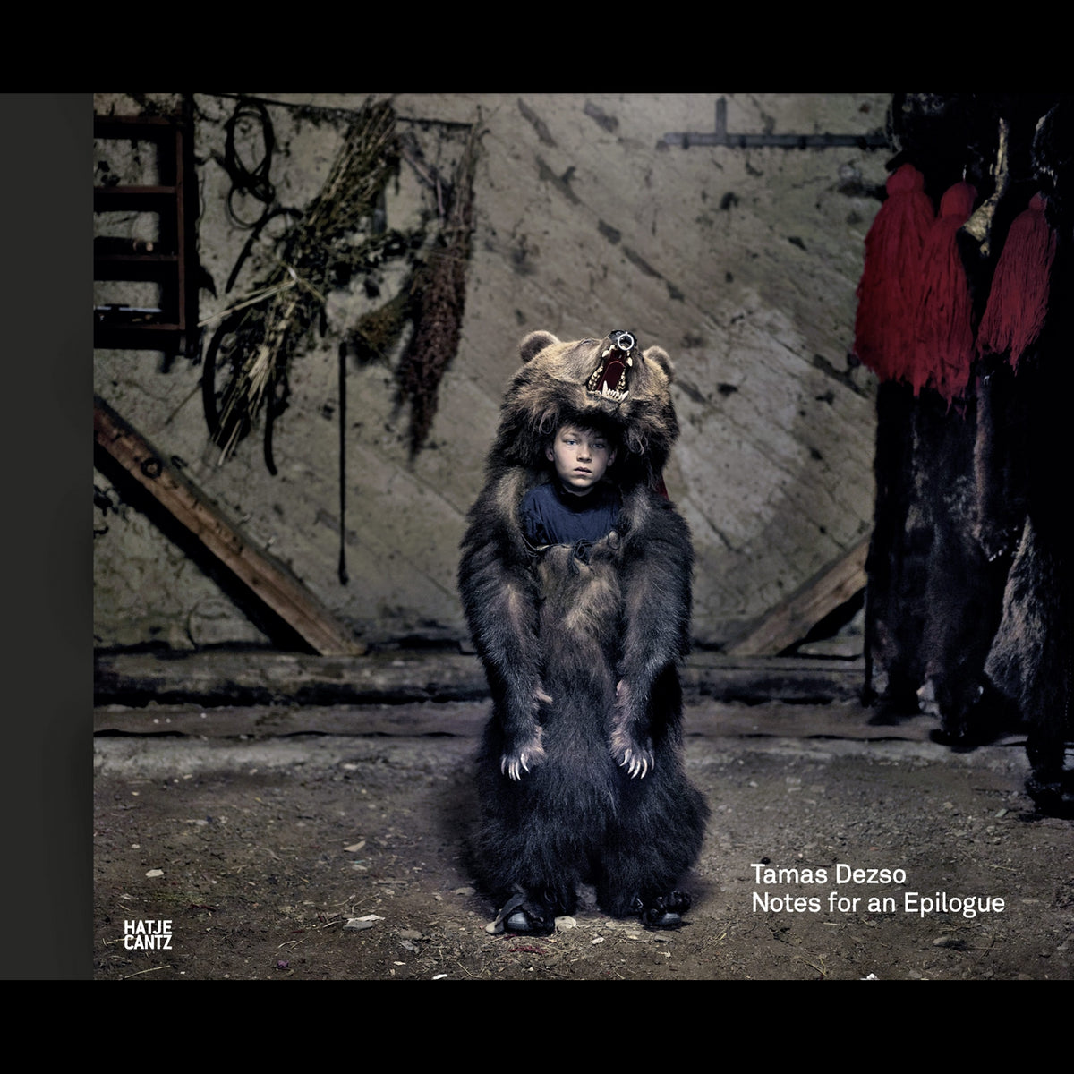 Coverbild Tamas Dezso