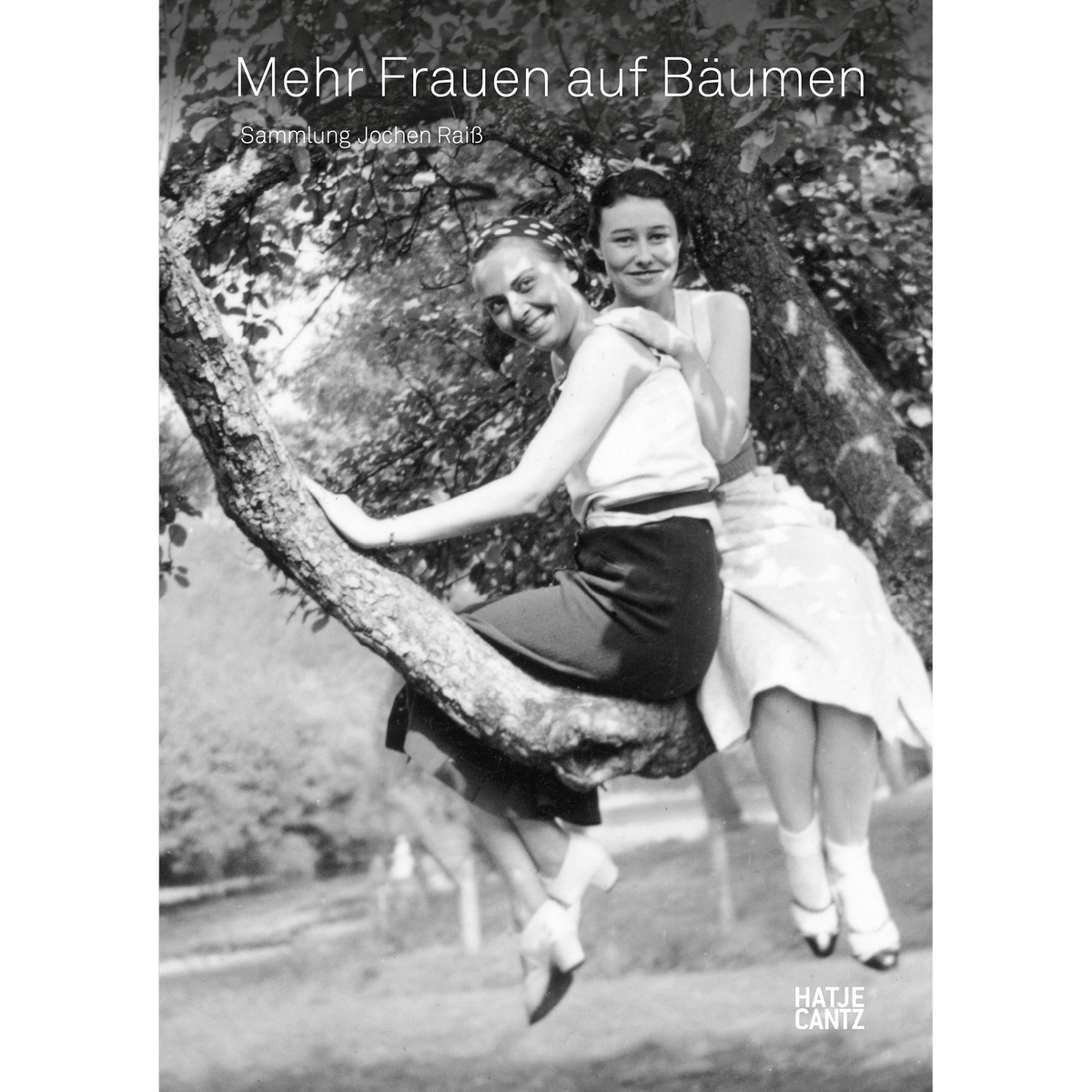 Coverbild Mehr Frauen auf Bäumen