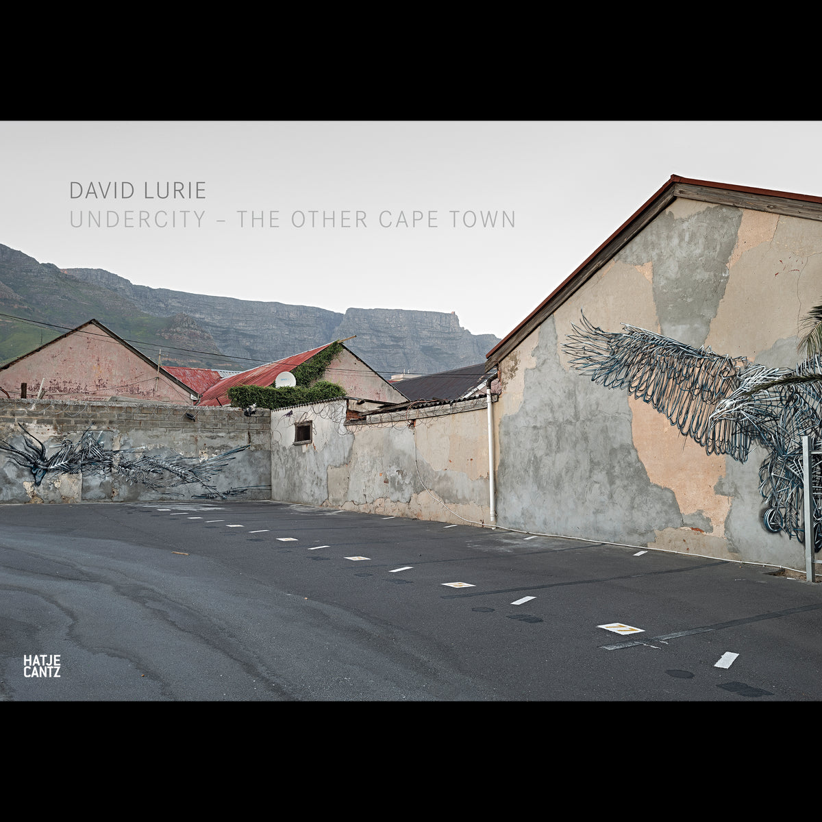 Coverbild David Lurie