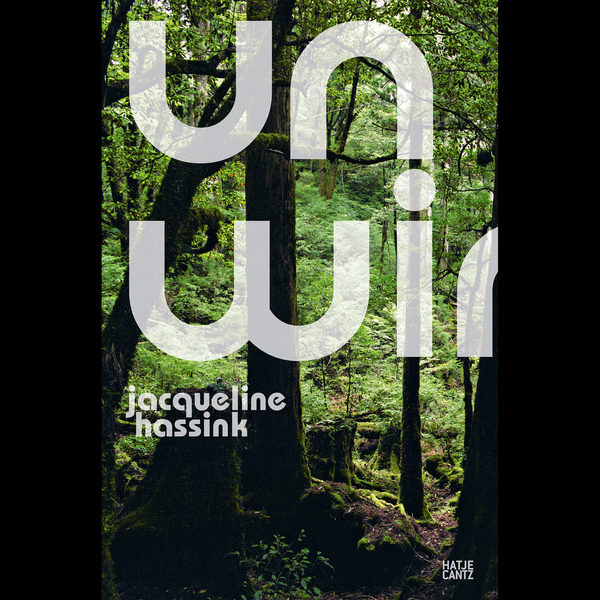 Coverbild Jacqueline Hassink