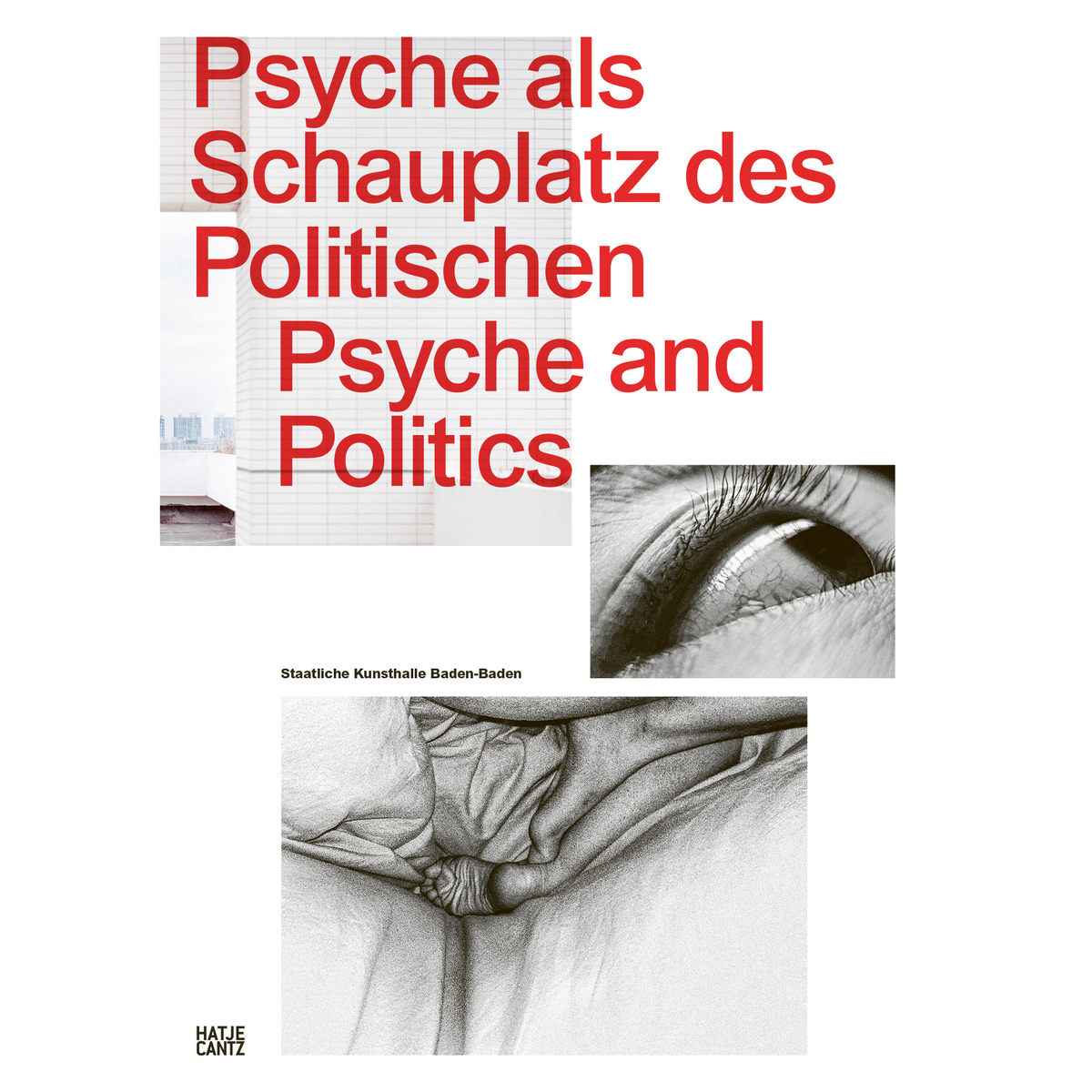 Coverbild Psyche and Politics