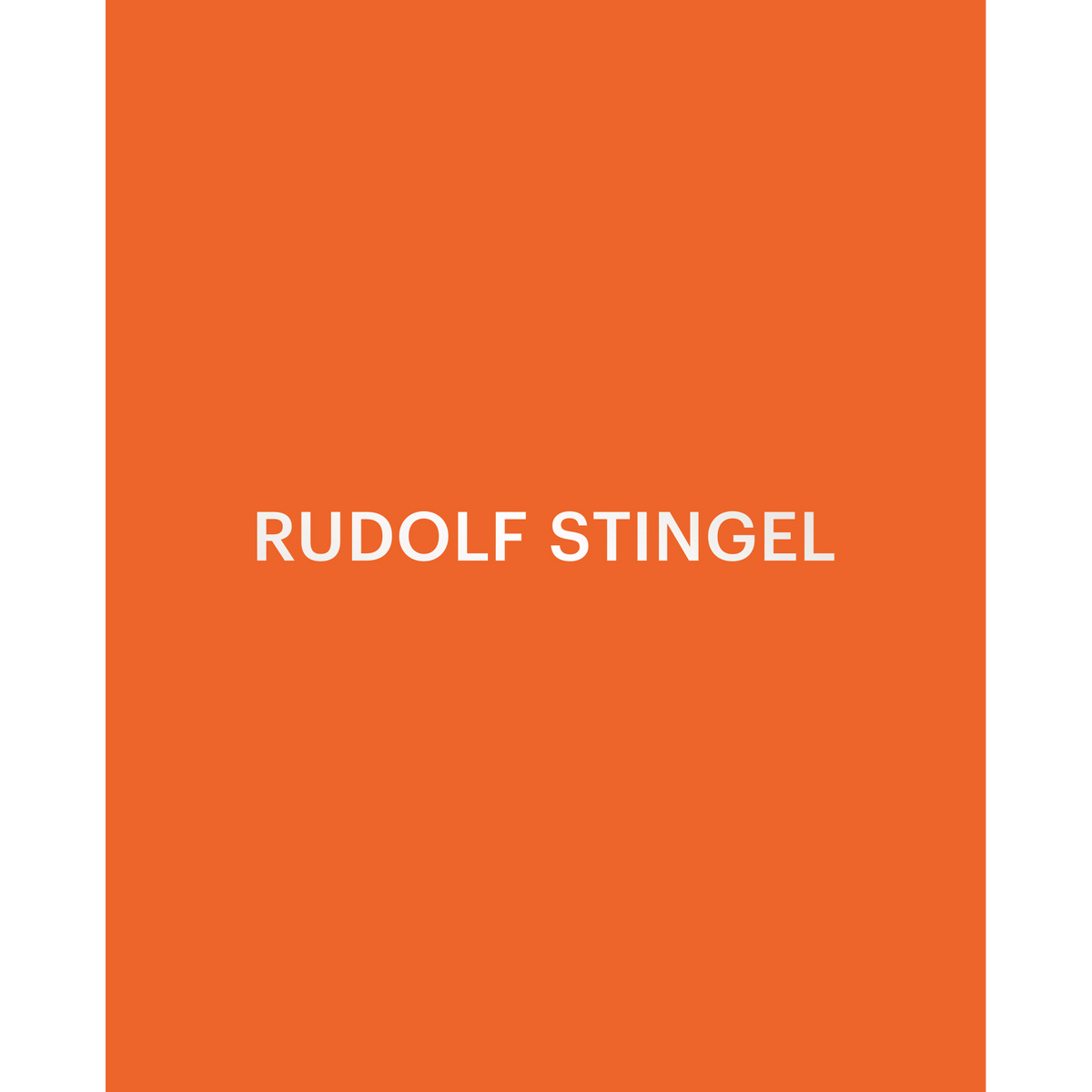 Coverbild Rudolf Stingel