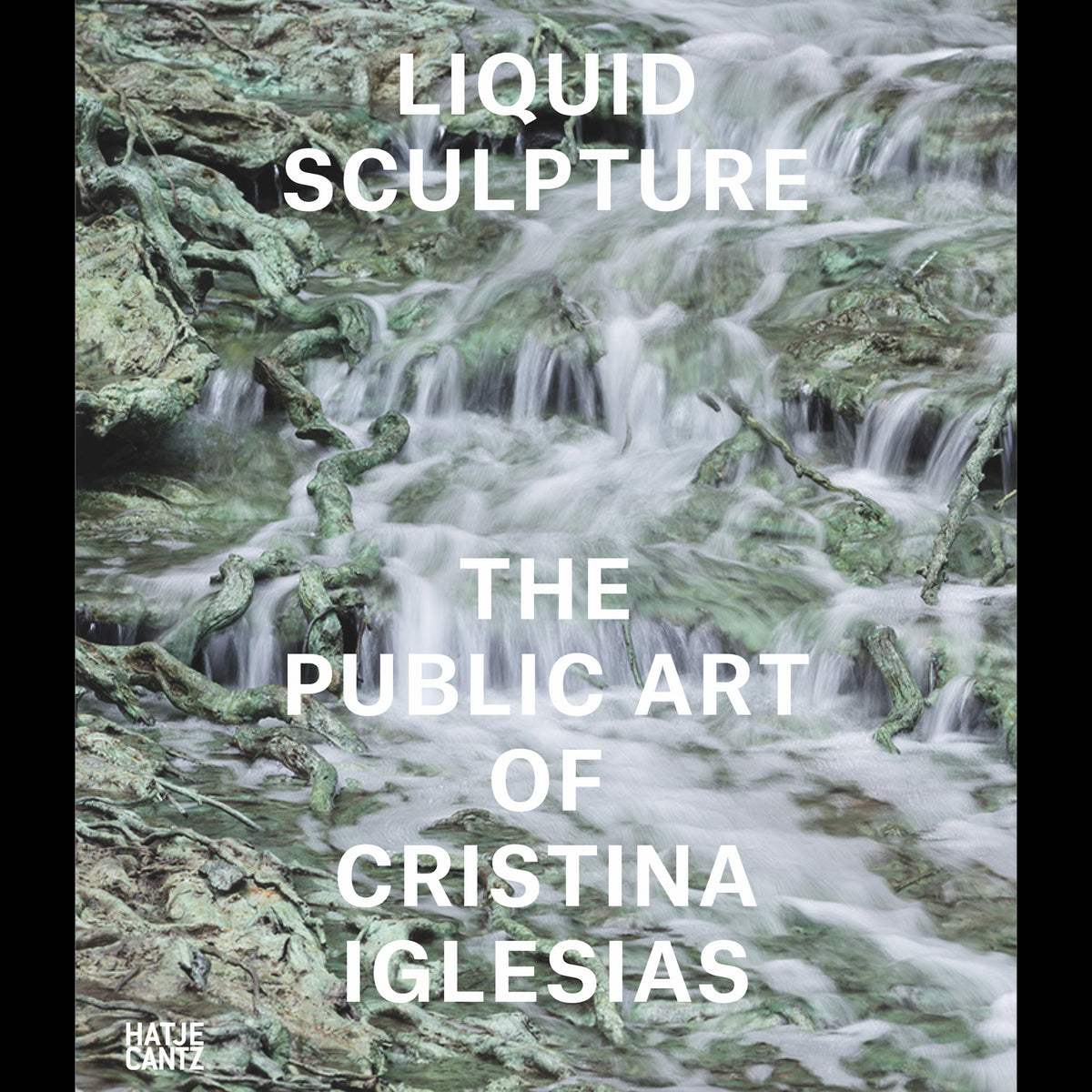 Coverbild Escultura Líquida