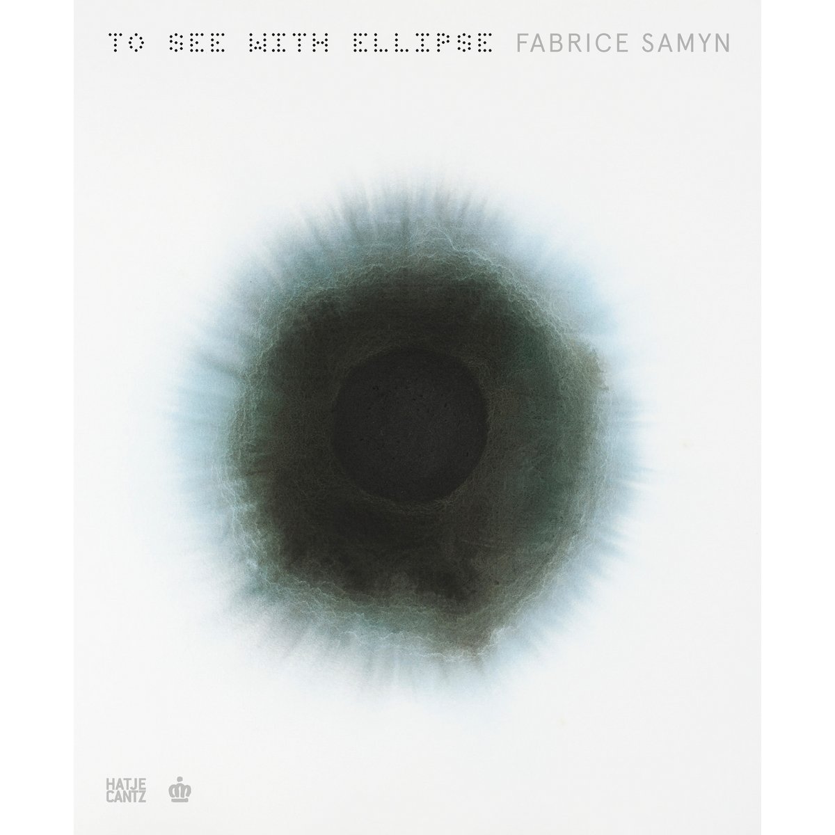 Coverbild Fabrice Samyn