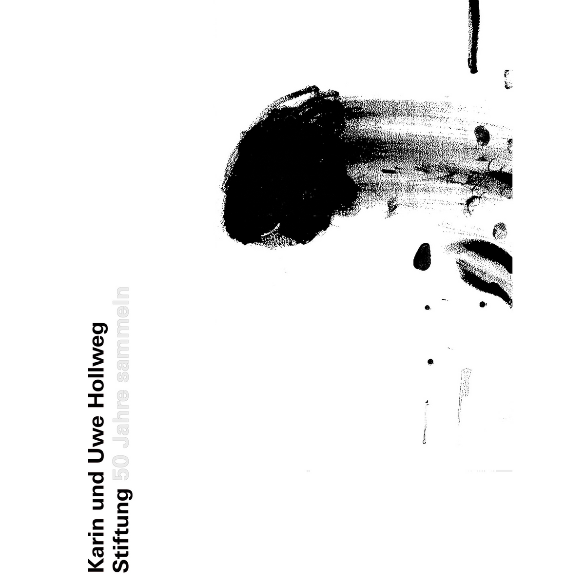 Coverbild Hollweg Stiftung – 50 Jahre sammeln