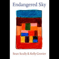 Endangered Sky