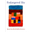 Buchcover von Endangered Sky von Sean Scully & Kelly Grovier, das ein abstraktes Gemälde aus bunten, grob gemalten Farbblöcken zeigt.