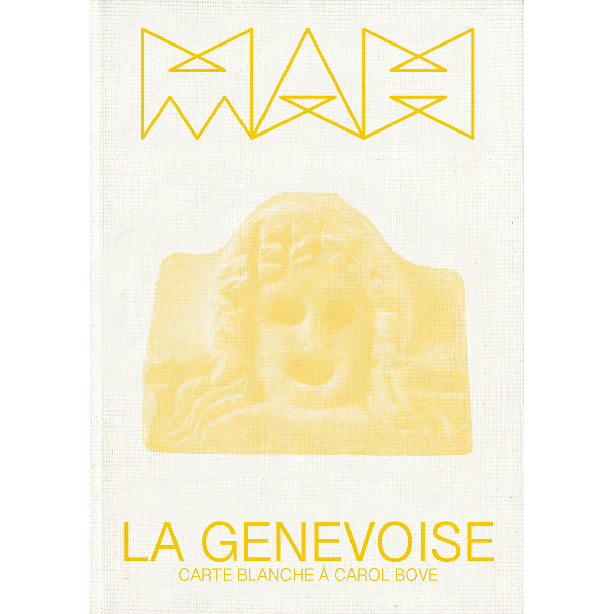 Coverbild The Genevan Woman