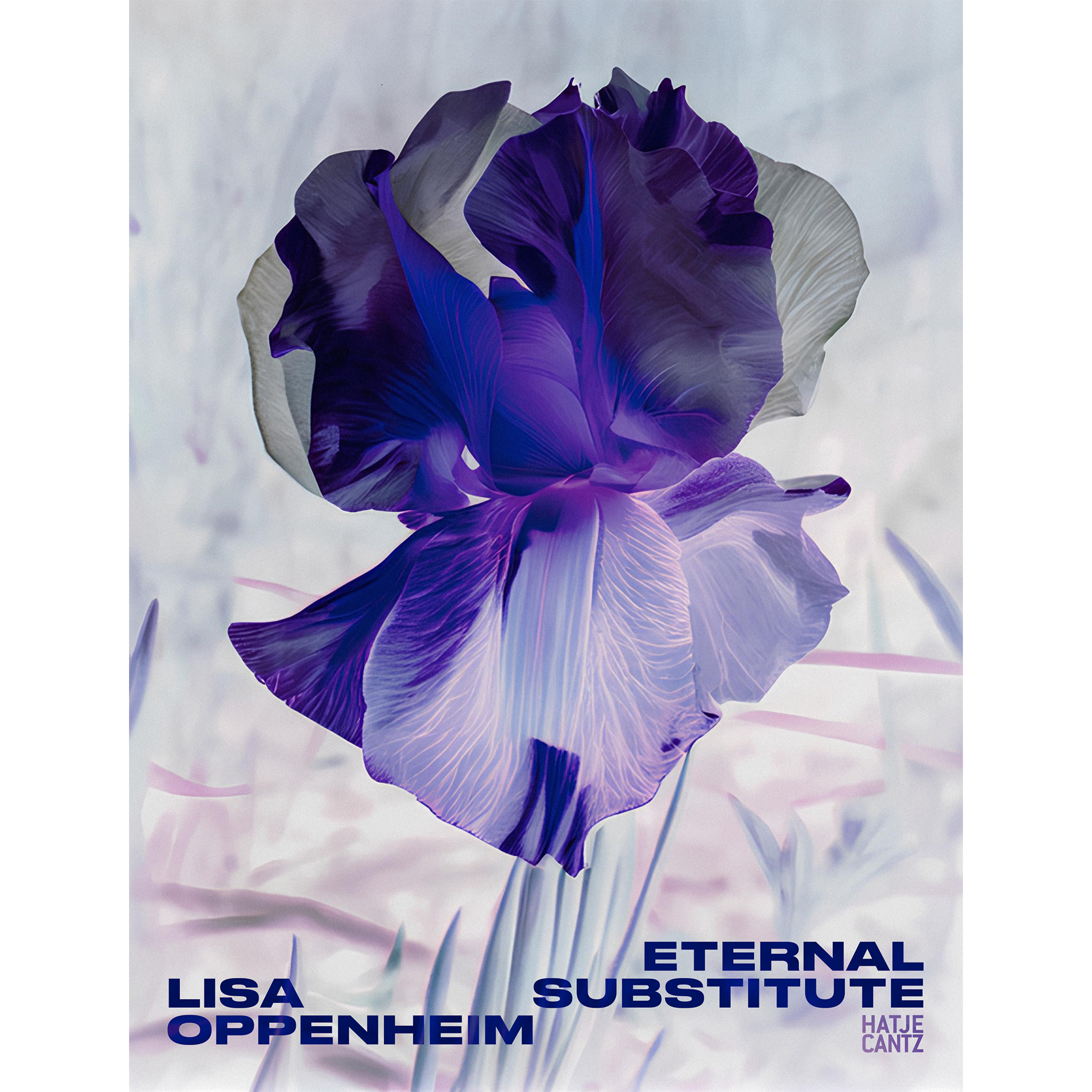 Lisa Oppenheim: The Eternal Substitute | Hatje Cantz Verlag