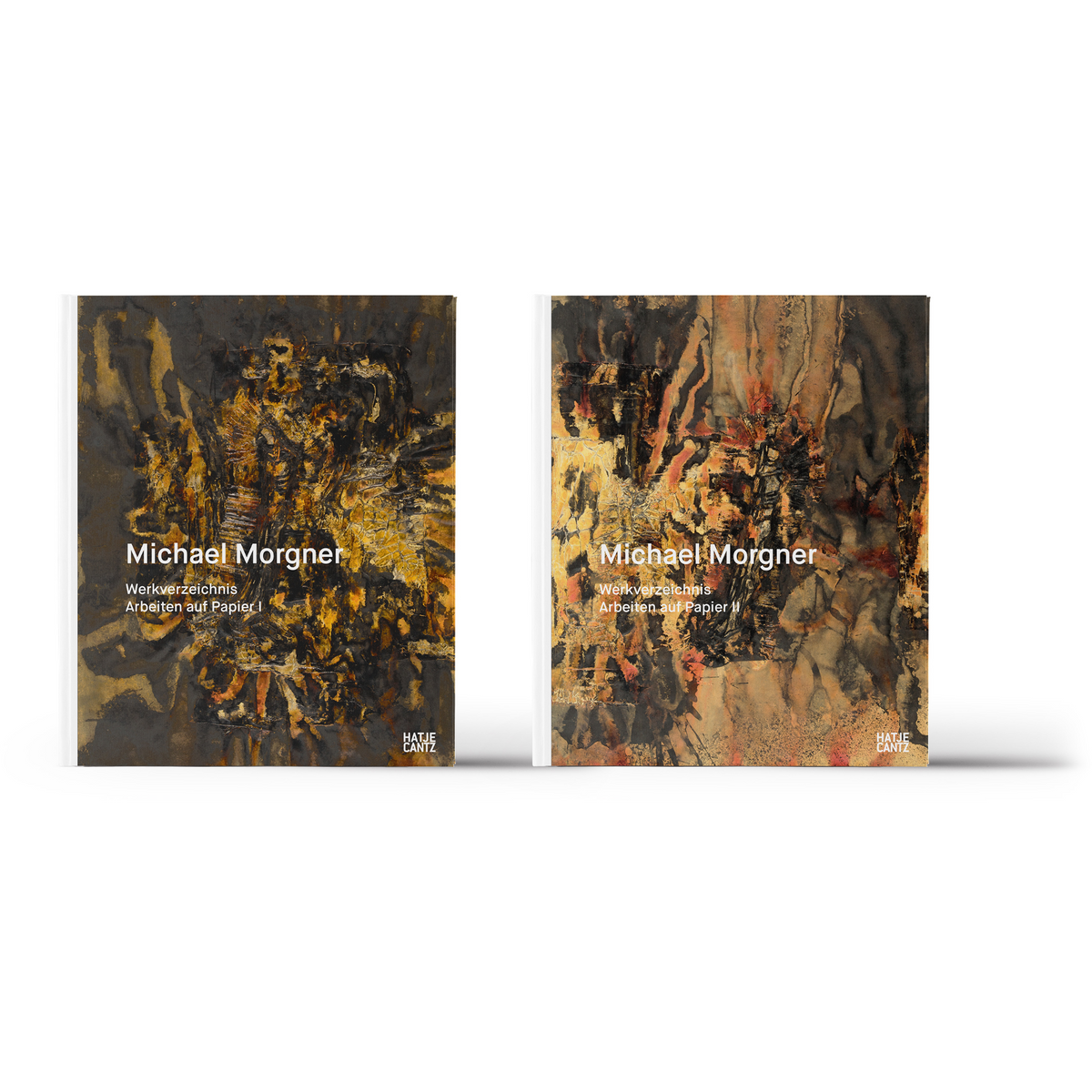 Coverbild Michael Morgner. Catalogue Raisonné