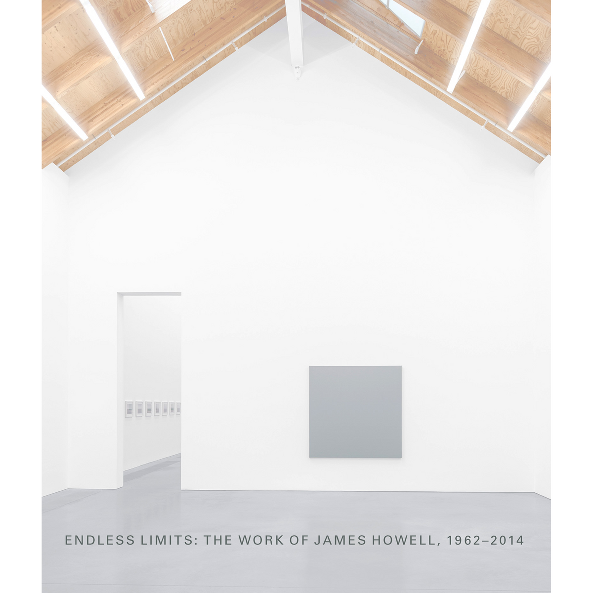 Coverbild Endless Limits: The Work of James Howell, 1962-2014