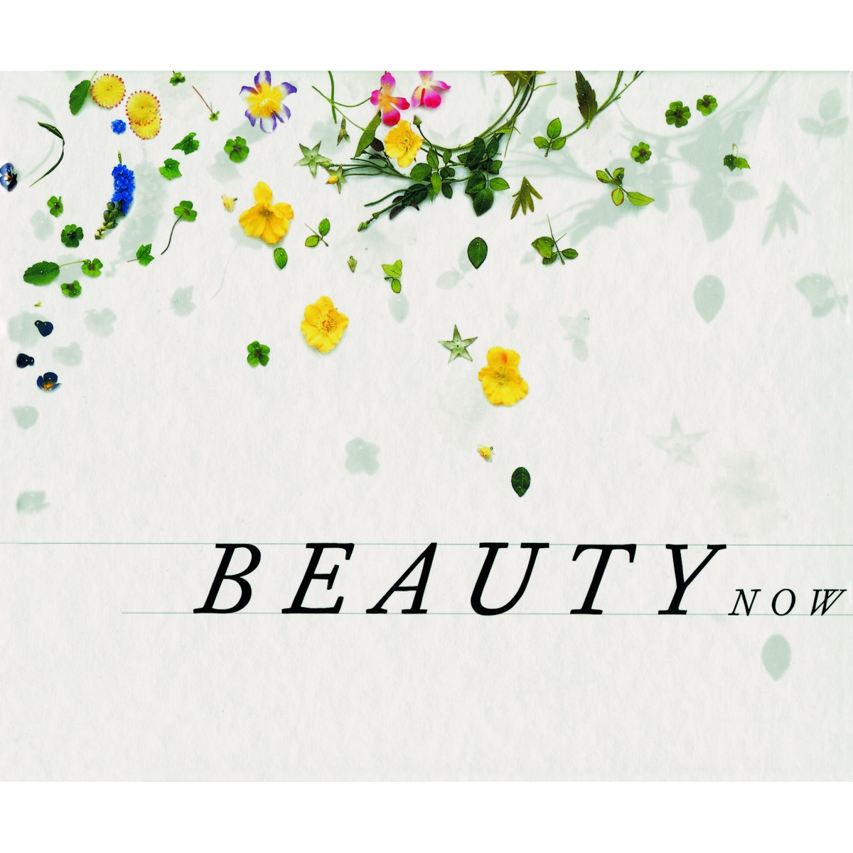 Coverbild Beauty Now