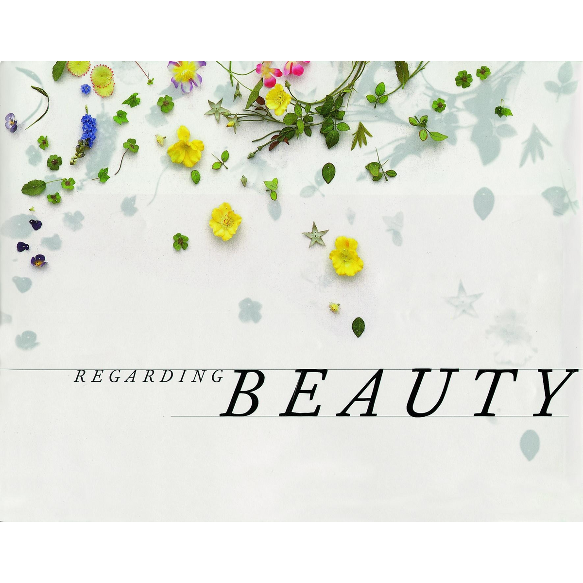 Coverbild Regarding Beauty