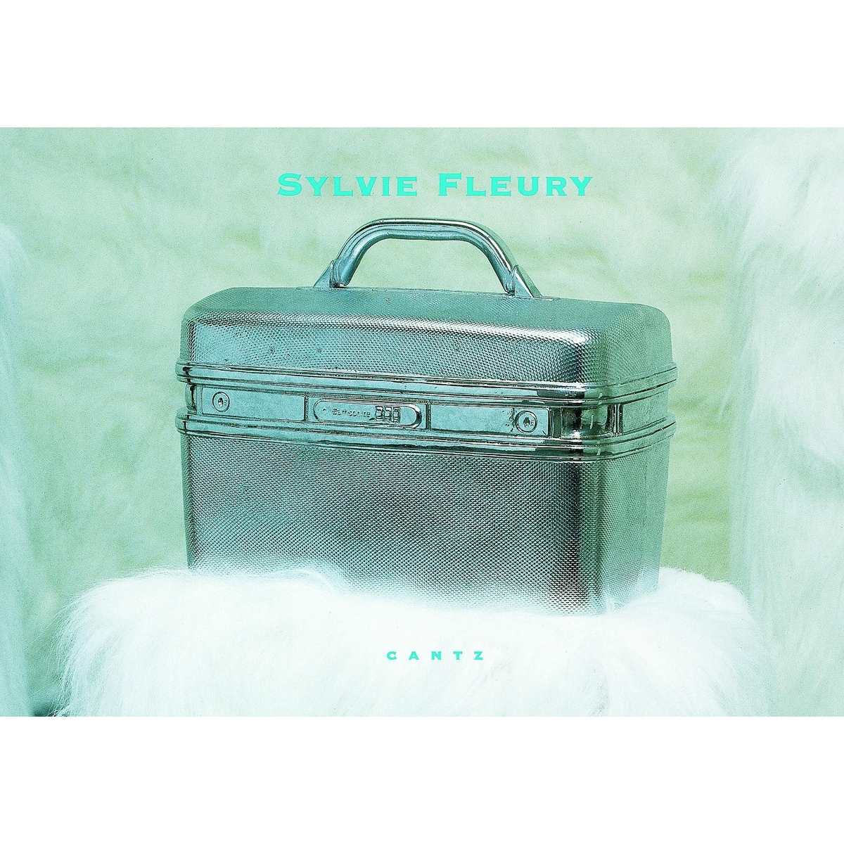 Coverbild Sylvie Fleury