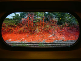 Der Blick aus einem abgerundeten Zugfenster auf eine Böschung neben Bahngleisen, die großflächig mit leuchtend orangeroter Farbe besprüht ist und sich von den grünen Bäumen im Hintergrund abhebt.