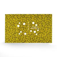 Yayoi Kusama