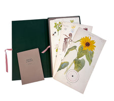 Eine offene, dunkelgrüne Mappe, aus der mehrere lose Blätter mit botanischen Aquarell-Illustrationen herausragen, darunter eine große Sonnenblume. Daneben liegt ein braunes Booklet mit dem Titel Hilma af Klint, Flora.