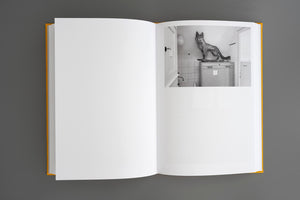 Julia Gaisbacher, Hanne Darboven